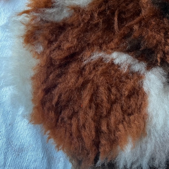 Large Vintage Latch Hook Brown and White Squirrel - Picture 4 of 9